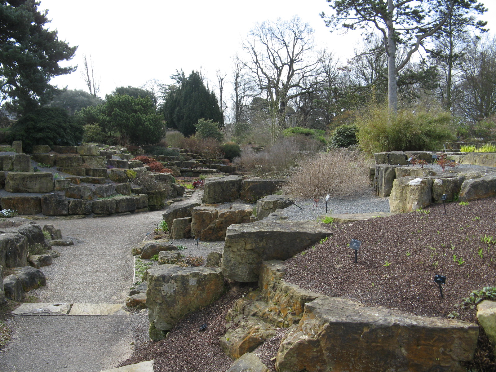 Kew Rock garden