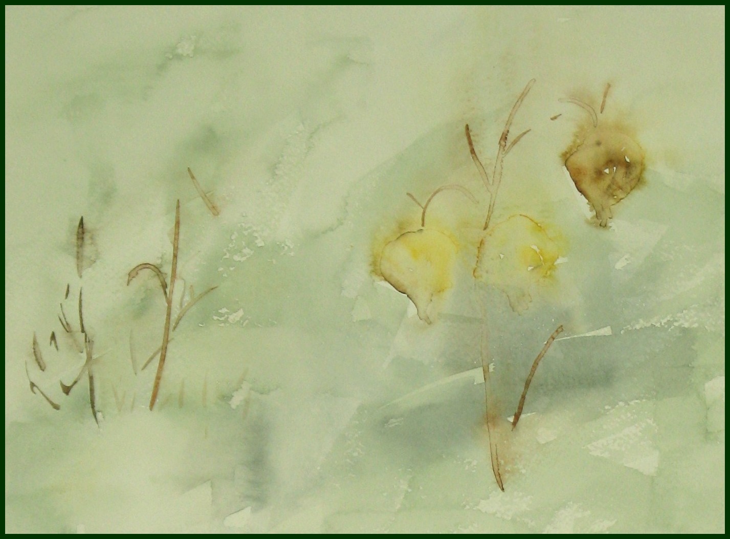 Japansk tr�dg�rd