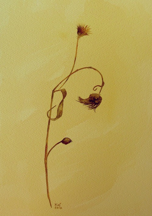 Tistel fr�n Gesunda